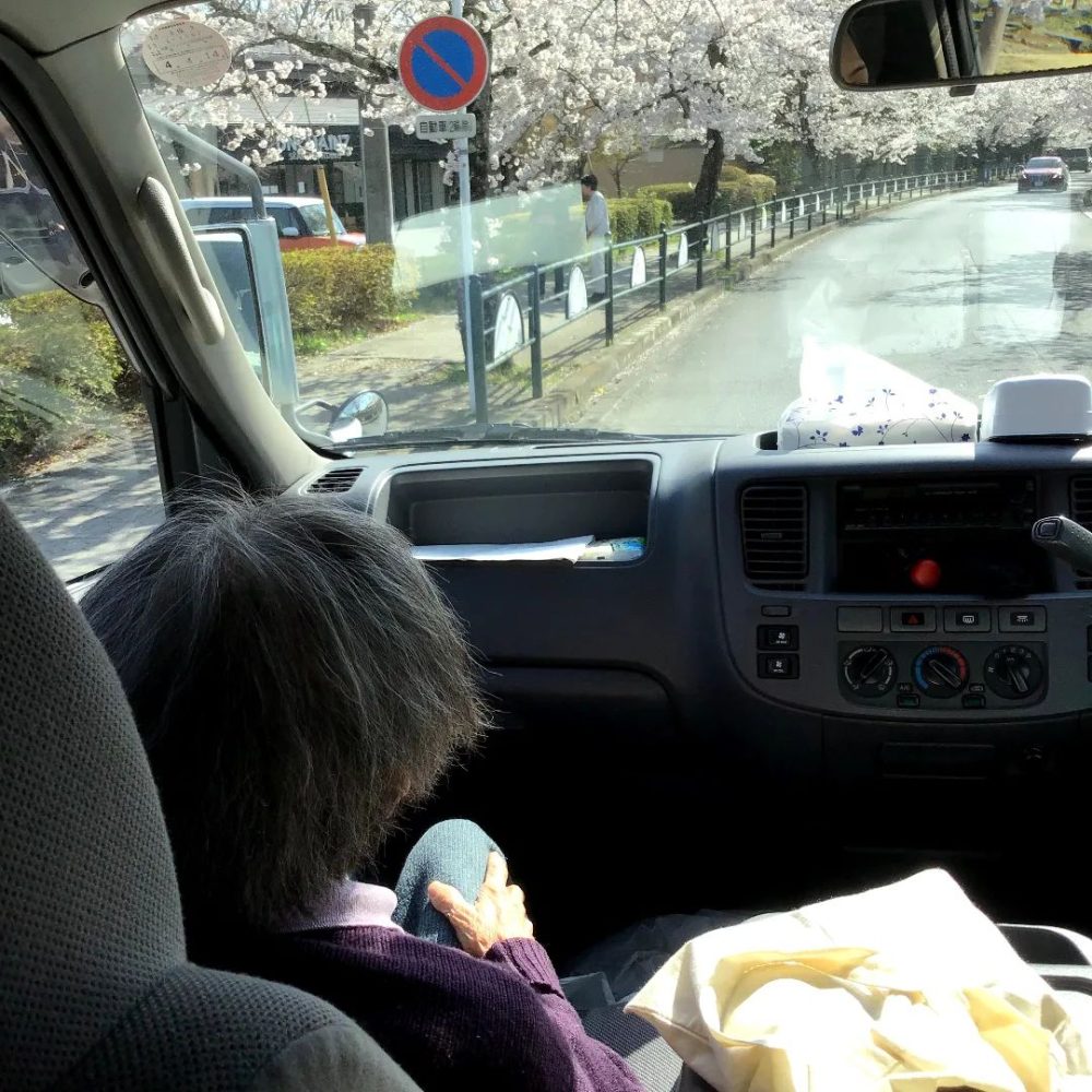お花見ドライブ　　桜並木をドライブしてきました満開の桜あでやかです。#ウエルハイムヨコゼ 　#特養の日常 　#特別養護老人ホーム 　#秩父 　#横瀬町 　#お花見ドライブ