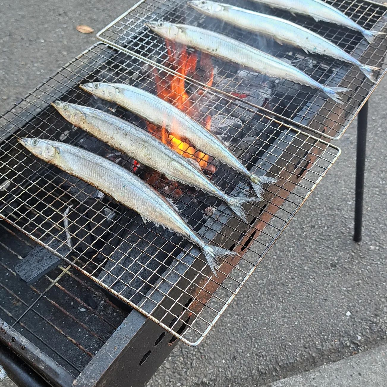 秋刀魚祭️炭火で秋刀魚を焼きあげ、お昼に召し上がっていただきましたおやつには焼き芋の予定です。焼きマシュマロ&チョコ&クラッカーで『スモア』も振る舞われました。美味しい秋の日です。#ウエルハイムヨコゼ 　#秩父 #横瀬町 　#秋刀魚祭り 　#特養の日常 　#焼き芋 　#スモア