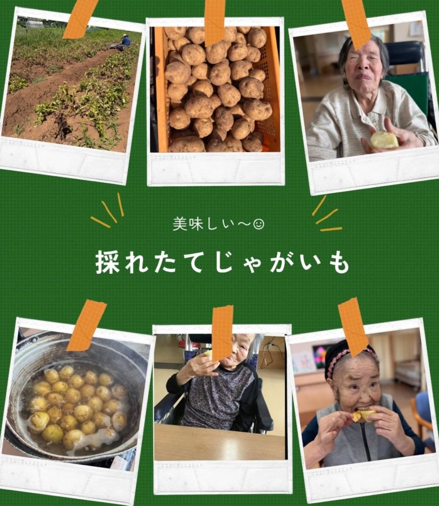 採れたて️じゃがいも🥔　本日のおやつは採れたてじゃがいもでした。採れたて、茹でたて、ホクホク最高でした。#ウエルハイムヨコゼ #つる子のつぶやき #じゃがいも #秩父 #横瀬町 #特養の日常 #おやつ