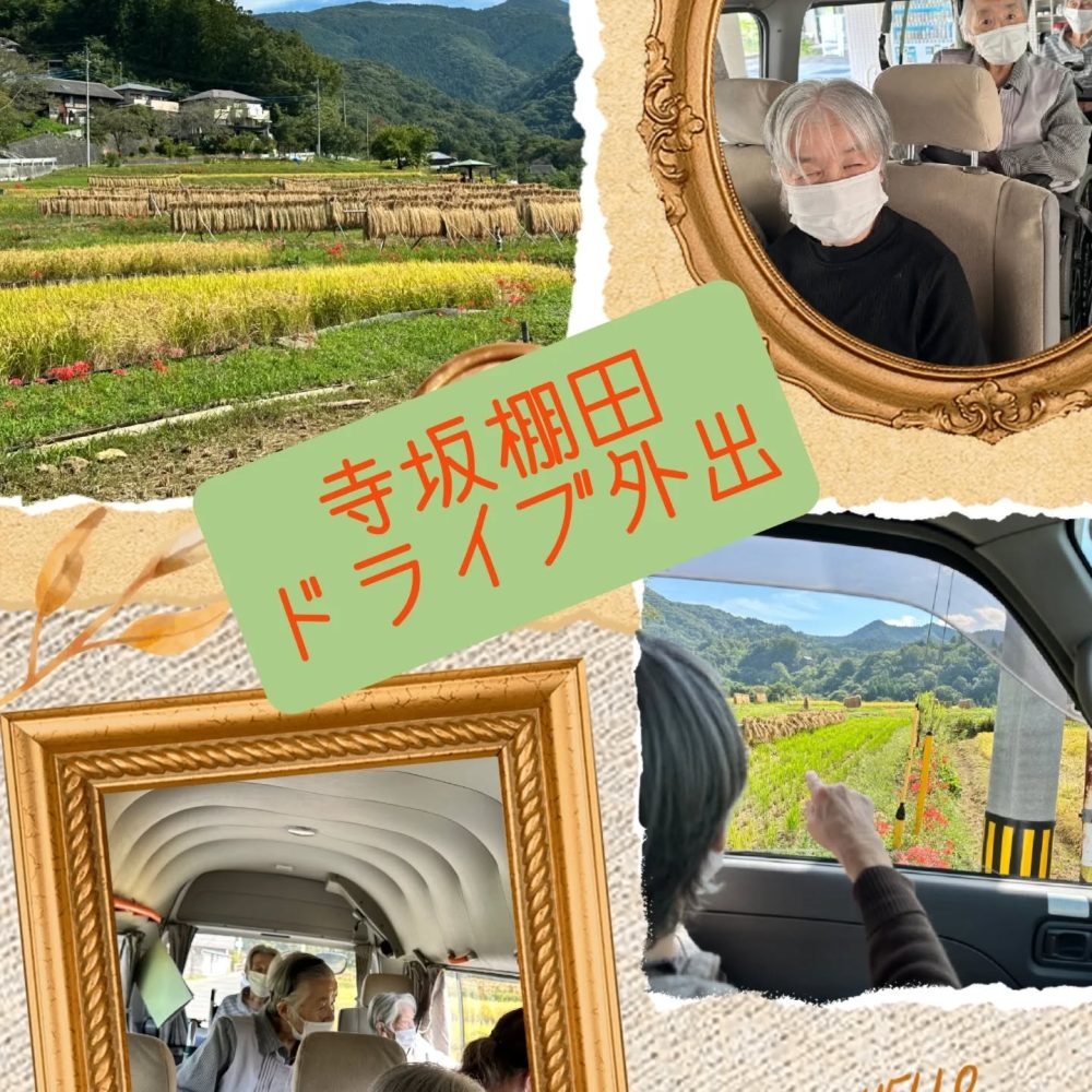 秋のドライブ外出🚐 寺坂棚田にドライブ外出いたしました。秋の穏やかな陽射し、爽やかな風を浴びて秩父に秋の訪れを皆様と感じました。#横瀬町 #秩父 #寺坂棚田 #ドライブ日和 #介護士さんと繋がりたい #特別養護老人ホーム #秋 #穏やかな時間