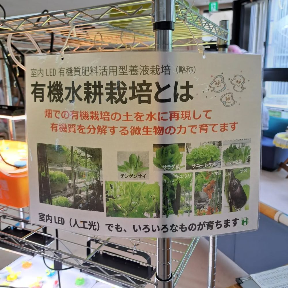 レタス水耕栽培通信5　解説文を作成いたしました。有機水耕栽培について、少しでも理解が進んでいただけたら幸いです。成長は相変わらず順調です#ウエルハイムヨコゼ 　#横瀬デイサービスセンター 　#横瀬デイコラボ企画 　#横瀬町 　#秩父　#レタス水耕栽培