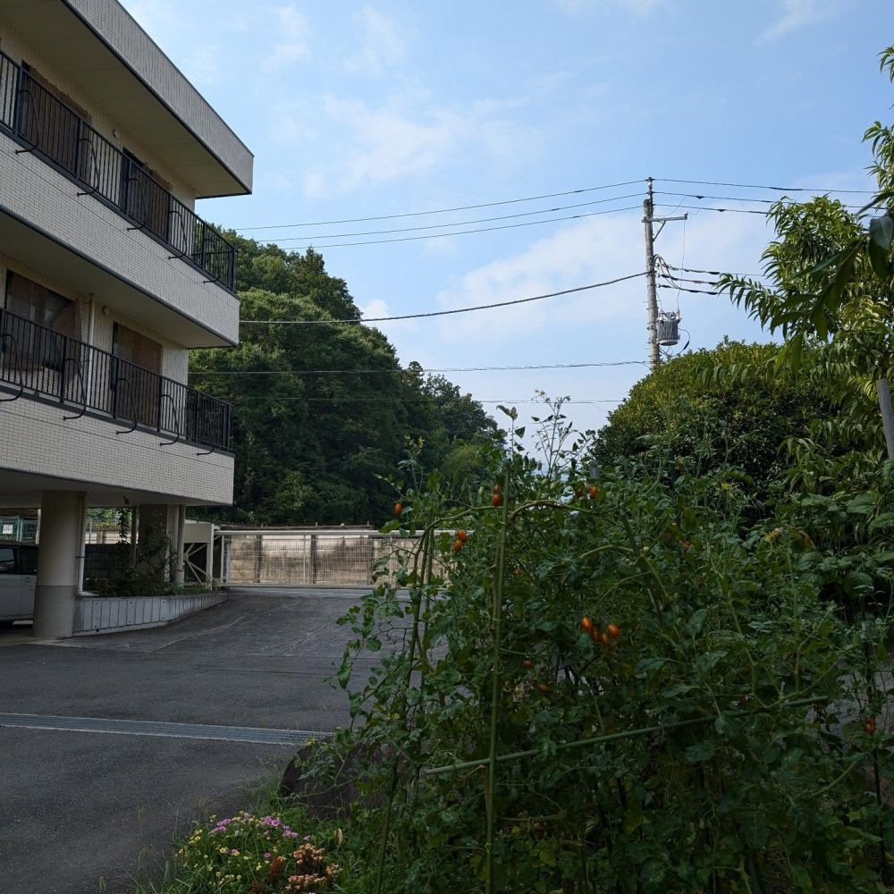 横瀬は本日も猛暑予報　秩父地方は本日も猛暑日の模様です。午後は急な天候変化も予報されておりますので、面会等でご来園予定の方は十分にご注意下さい。#熱中症予防 #猛暑日 #秩父 #横瀬町 #ウエルハイムヨコゼ